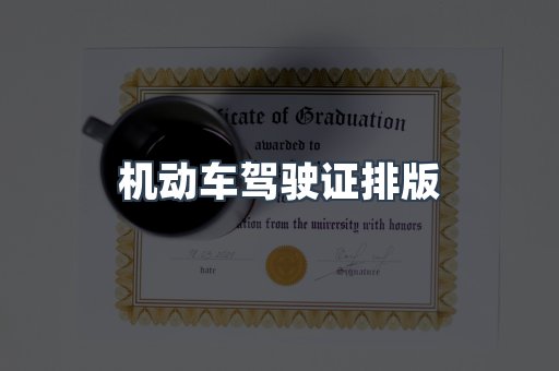 机动车驾驶证排版